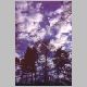 arbre2.html